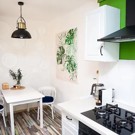 Stylish 2-bedroom On The Eu Side Istambul